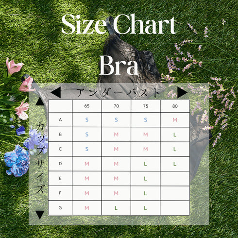 ブラ サイズ